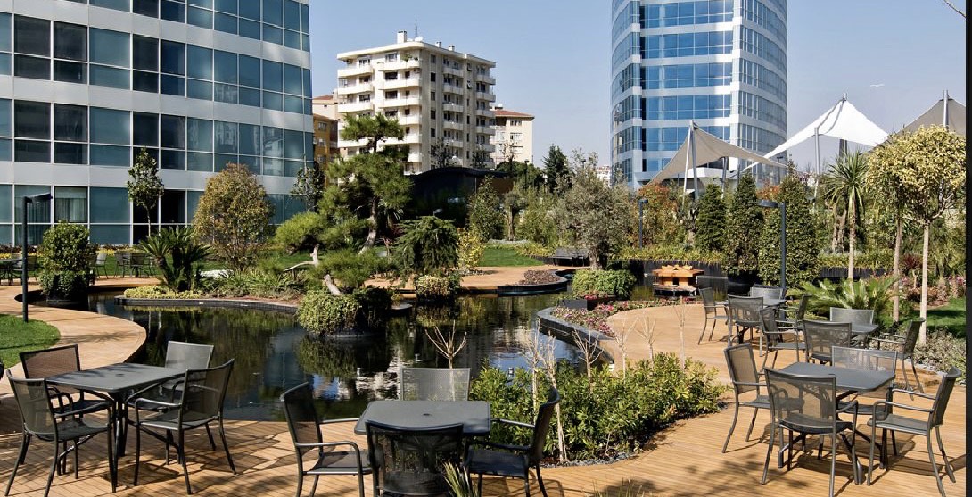 portfolio-image